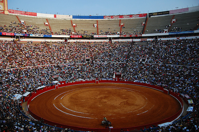 bullfight mexico